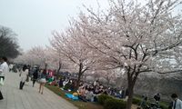 2012-04-10 17.45.04